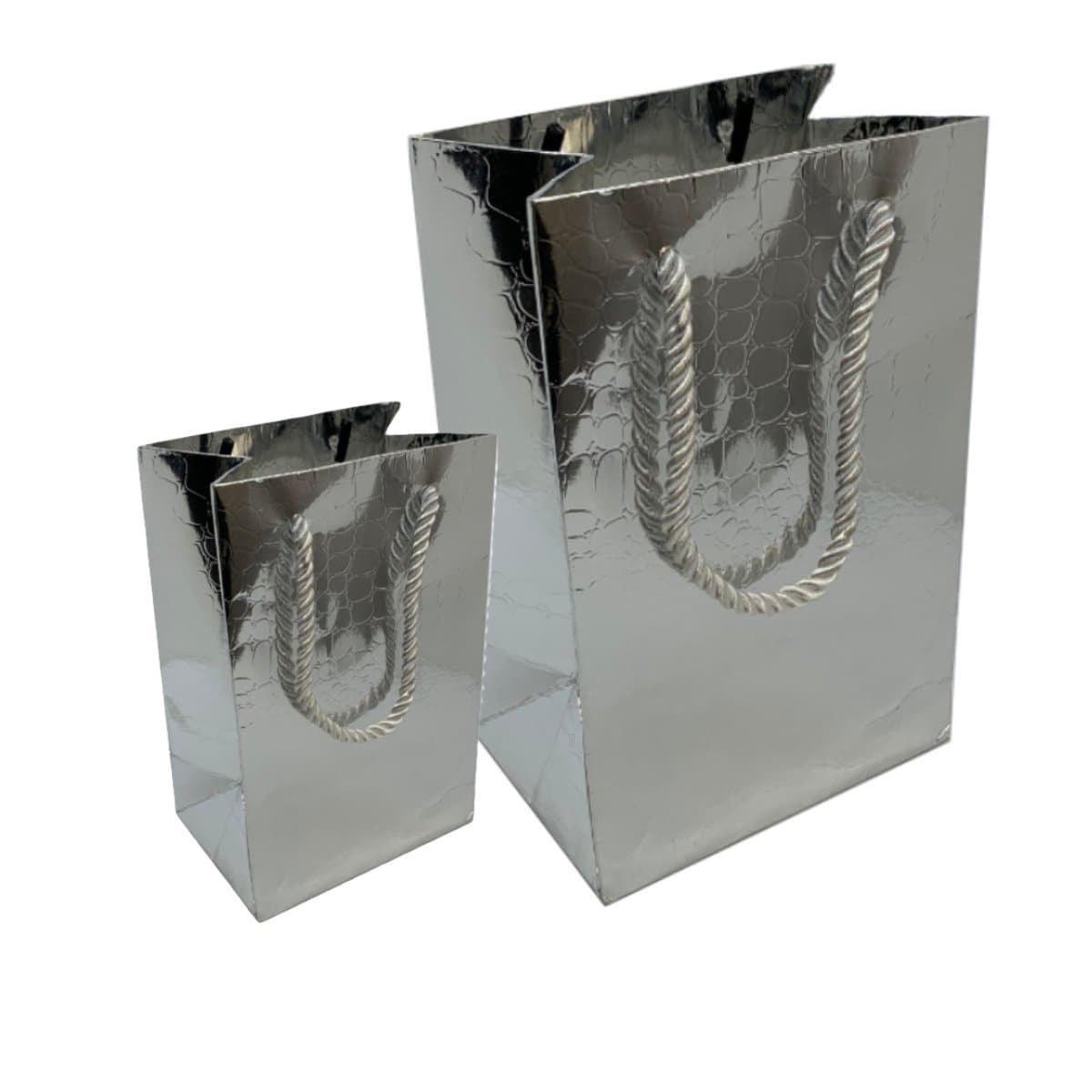 Paper Gift Bag, Croco Glossy, Silver - Small