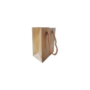 Paper Gift Bag Matte Gold