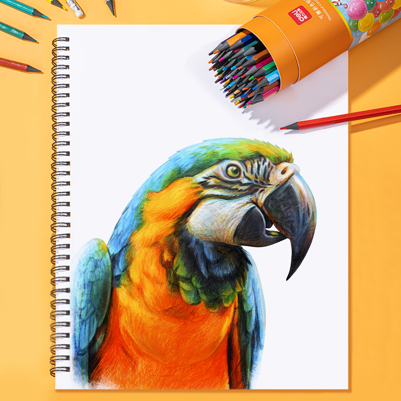 deli 7073-36 Erasable Colored Pencil, 36 colors - Image 5