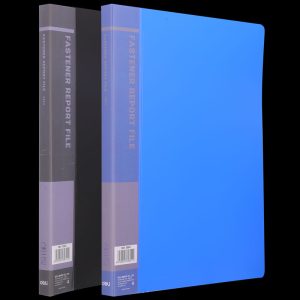 deli E39611 File Folder, A4, Assorted Colors