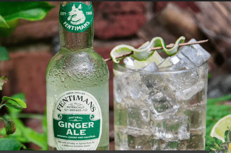 Fentimans Ginger Ale 200 ml x 24 glass bottles - Image 3
