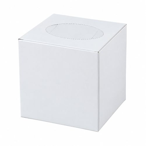 Fine cubic tissue 100 sheet 2 ply plain white box 1 carton x 48 boxes - Image 2