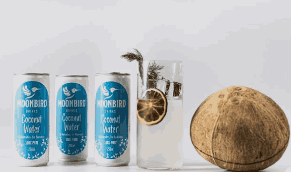 Moonbird Coconut Water 250ml x 24 cans, No Added Sugar - Image 3