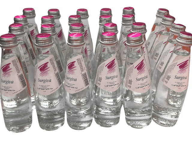 Surgiva Sparkling Water 250 ml x 24 glass bottles