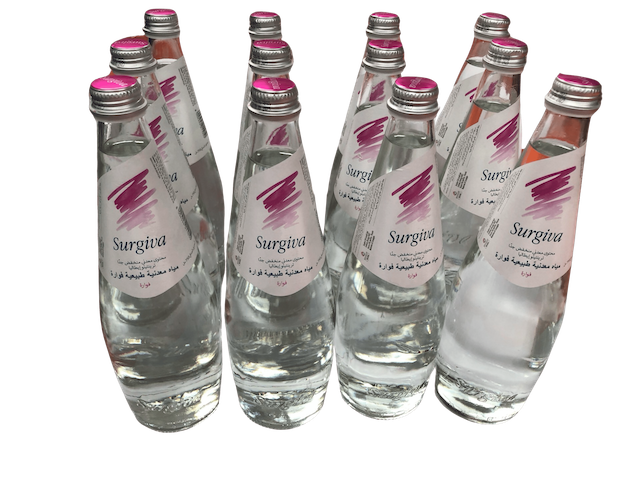 Surgiva Sparkling Water 750 ml x 12 glass bottles